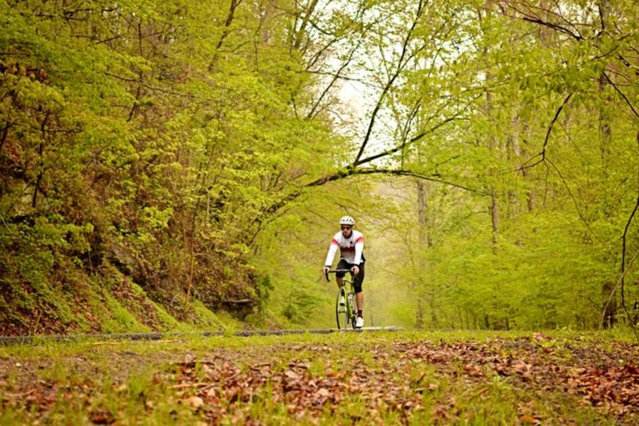 man biking through wooded area