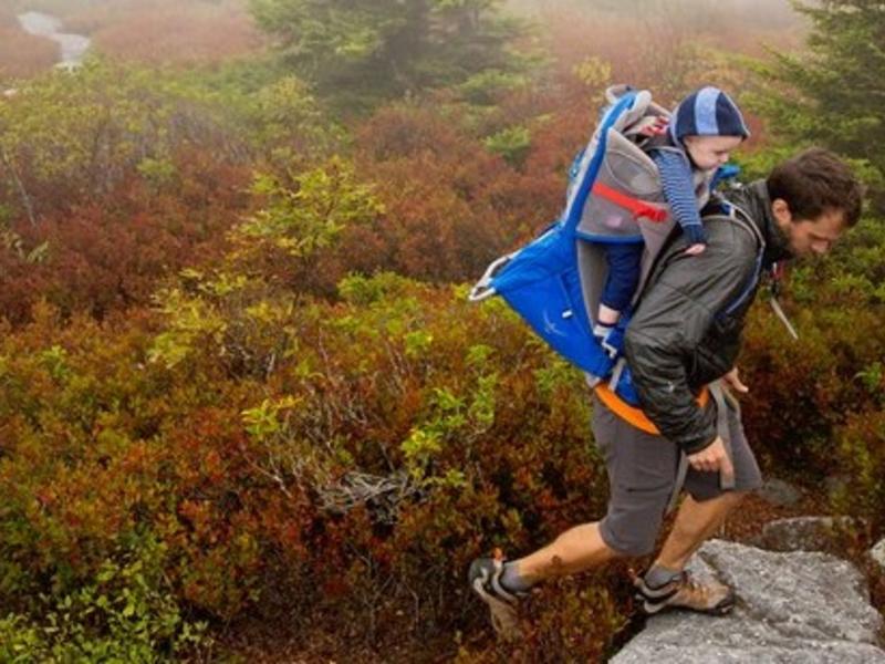 Man and child hiking at Dolly Sods