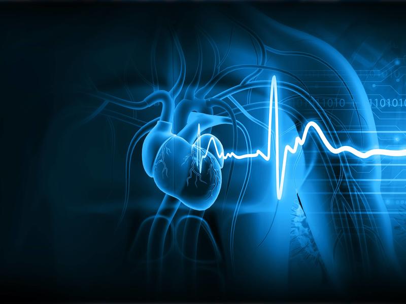 Vascular photo