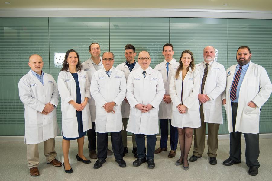 Vascular division faculty