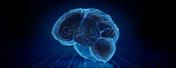 Digital illustration of brain