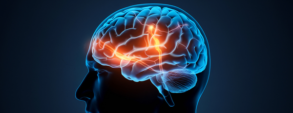 Neuroscience 