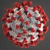 COVID-19 Particle